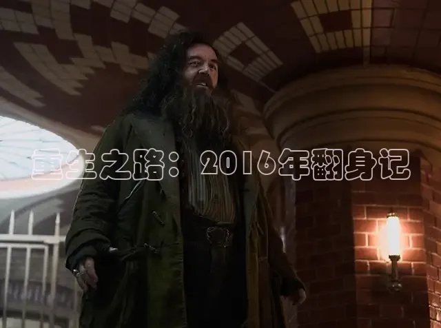 重生之路：2016年翻身记