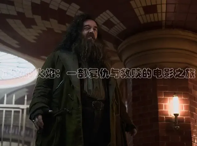 正义的火焰：一部复仇与救赎的电影之旅